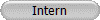 Intern